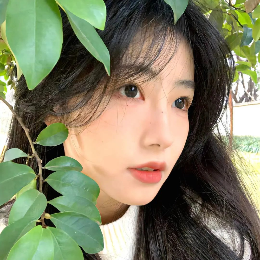 高达自画像